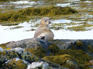 Copyright Claire Newton. All Rights Reserved.