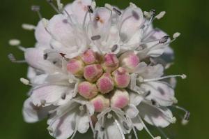 Copyright Claire Newton. All Rights Reserved.