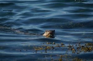 Copyright Claire Newton. All Rights Reserved.