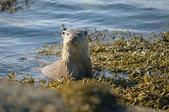 Copyright Claire Newton. All Rights Reserved.